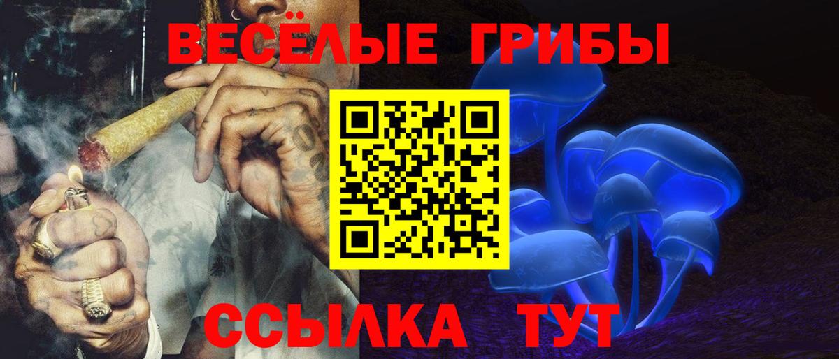 Воскресенск  Псилоцибиновые грибы MAGIC MUSHROOMS  купить закладку  Вход с VPN 