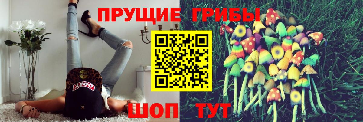Псилоцибиновые грибы Cubensis Воскресенск